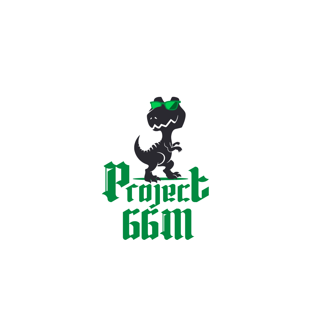 PROJECT 66M